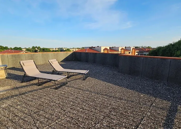 Violet Luni Marinella di Sarzana